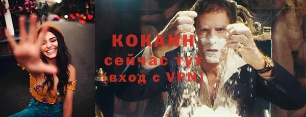 прущие грибы Абинск