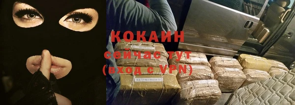прущие грибы Абинск