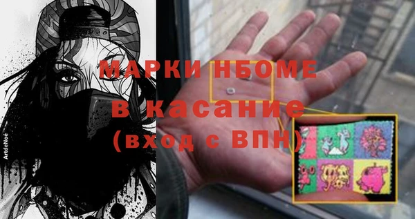 прущие грибы Абинск