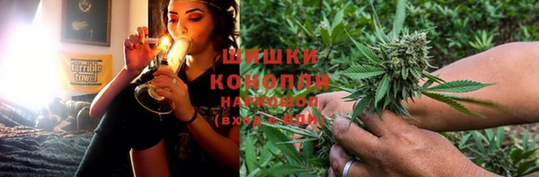 прущие грибы Абинск